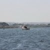 Marsala_2012 (297)